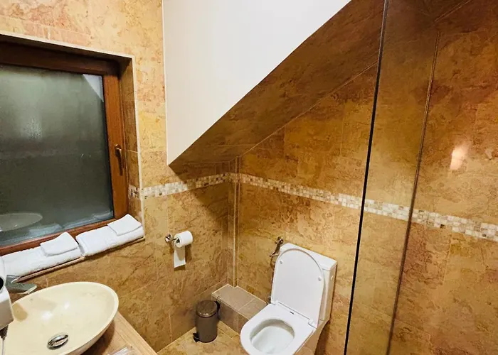 Отель Mellis Boutique 3*