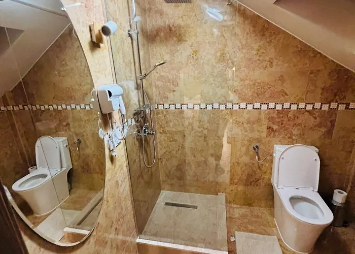 Mellis Boutique 3* Клуж-Напока